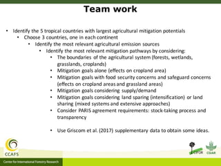 Roman-Cuesta, Rosa Maria - Climate Food and Farming CLIFF Network annual workshop November 2017