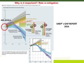 Roman-Cuesta, Rosa Maria - Climate Food and Farming CLIFF Network annual workshop November 2017