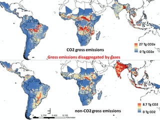 Roman-Cuesta, Rosa Maria - Climate Food and Farming CLIFF Network annual workshop November 2017