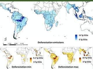 Roman-Cuesta, Rosa Maria - Climate Food and Farming CLIFF Network annual workshop November 2017