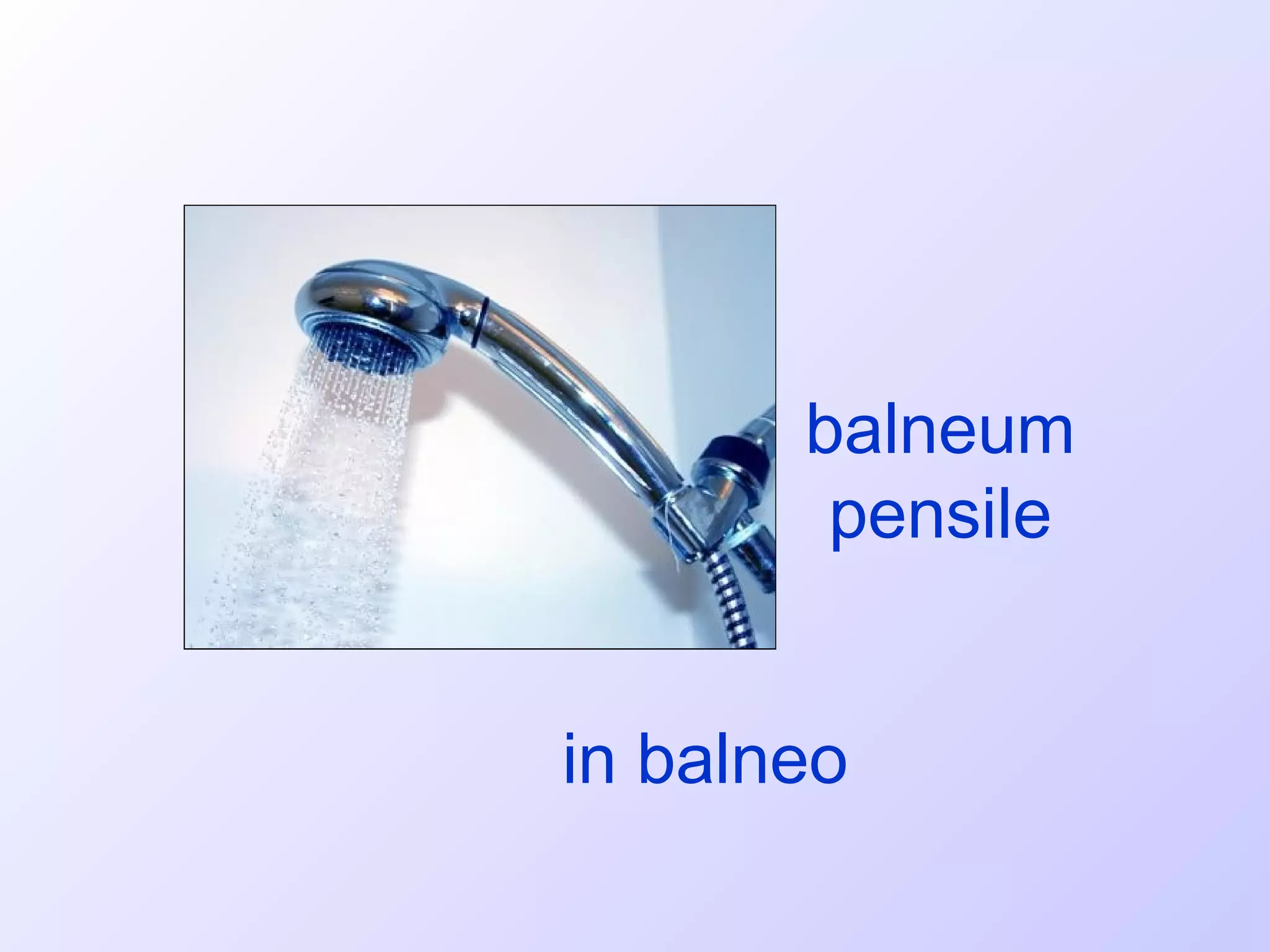 balneum
        pensile


in balneo
 