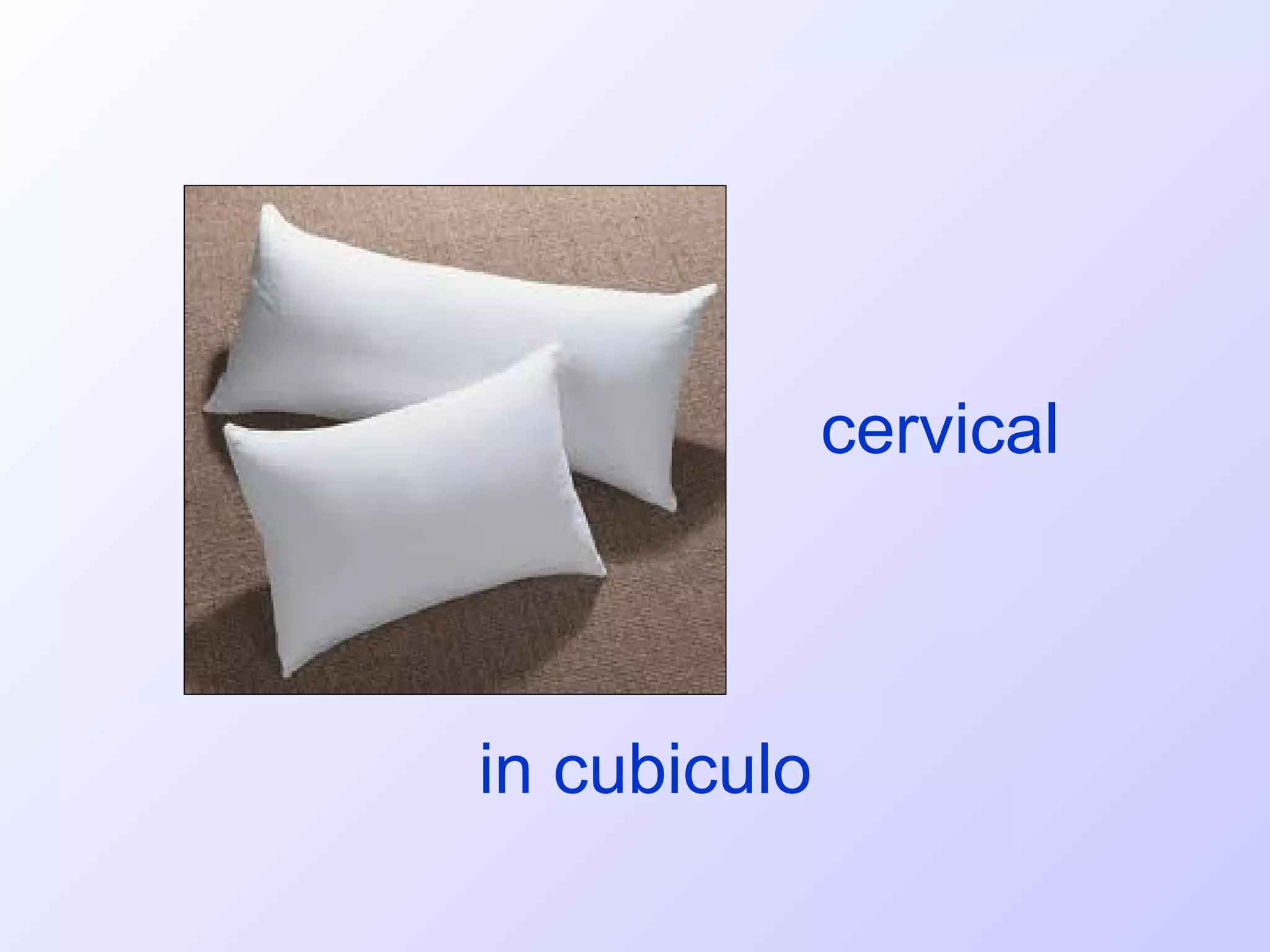 cervical



in cubiculo
 