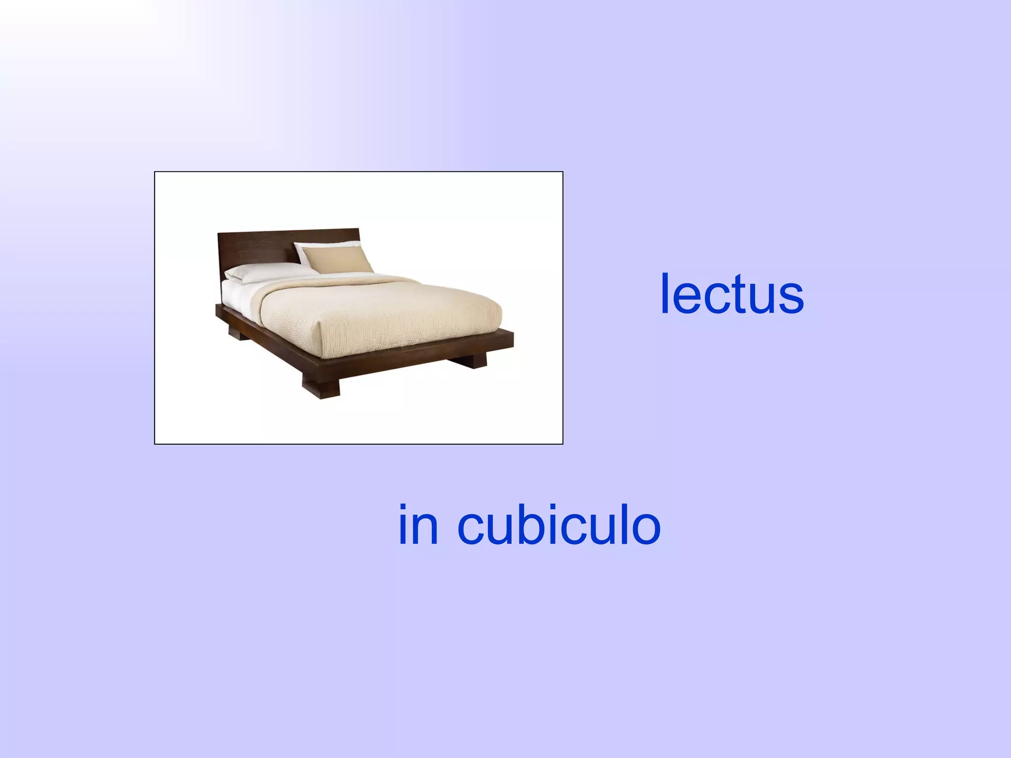lectus



in cubiculo
 