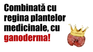 Combinată cu
regina plantelor
medicinale, cu
ganoderma!
 