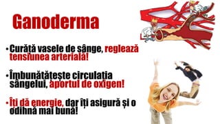 Ganoderma
•Curăță vasele de sânge, reglează
tensiunea arterială!
•Îmbunătățește circulația
sângelui, aportul de oxigen!
•Îți dă energie, dar îți asigură și o
odihnă mai bună!
 