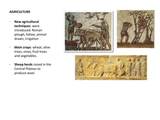 AGRICULTURE 
- New agricultural 
techniques were 
introduced: Roman 
plough, fallow, animal 
drawn, irrigation 
- Main crops: wheat, olive 
trees, vines, fruit trees 
and vegetables. 
- Sheep herds raised in the 
Central Plateau to 
produce wool. 
 