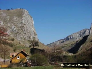 Carpathians Mountains 