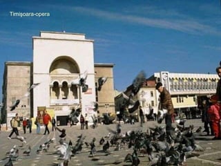 Timi ş oara-opera 