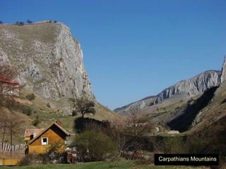 Carpathians Mountains 