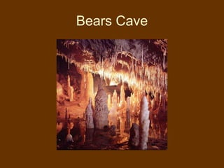 Bears Cave 