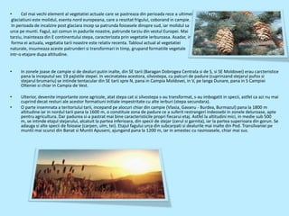 •     Cel mai vechi element al vegetatiei actuale care se pastreaza din perioada rece a ultimei
 glaciatiuni este molidul, esenta nord europeana, care a reszitat frigului, coborand in campie.
 In perioada de incalzire post glaciara incep sa patrunda foioasele dinspre sud, iar molidul sa
urce pe munti. Fagul, azi comun in padurile noastre, patrunde tarziu din vestul Europei. Mai
tarziu, inainteaza din E continentului stepa, caracterizata prin vegetatie ierburoasa. Asadar, in
 forma ei actuala, vegetatia tarii noastre este relativ recenta. Tabloul actual al vegetatiei
naturale, insumeaza aceste patrunderi si transformari in timp, grupand formatiile vegetale
intr-o etajare dupa altitudine.


•    In zonele joase de campie si de dealuri putin inalte, din SE tarii (Baragan Dobrogea Centrala si de S, si SE Moldovei) erau carcteristice
     pana la inceputul sec 19 pajistile stepei. In vecinatatea acestora, silvostepa, cu palcuri de padure (cuprinzand stejarul pufos si
     stejarul brumariu) se intinde tentacular din SE tarii spre N, pana in Campia Moldovei, in V, pe langa Dunare, pana in S Campiei
     Olteniei si chiar in Campia de Vest.

•    Ulterior, devenite importante zone agricole, atat stepa cat si silvostepa s-au transformat, s-au imbogatit in specii, astfel ca azi nu mai
     cuprind decat resturi ale acestor formatiuni initiale impestritate cu alte ierburi (stepa secundara).
•    O parte insemnata a teritoriului tarii, incepand pe alocuri chiar din campie (Vlasia, Gavanu - Burdea, Burmazul) pana la 1800 m
     altitudine iar in nordul tarii pana la 1600 m, o constituie zona de padure ce a suferit restrangeri indeosebi in zonele deluroase, apte
     pentru agricultura. Dar padurea si-a pastrat mai bine caracteristicile propri fiecarui etaj. Astfel la altitudini mici, in medie sub 500
     m, se intinde etajul stejarului, alcatuit la partea inferioara, din specii de stejar (cerul si garnita), iar la partea superioara din gorun. Se
     adauga si alte specii de foioase (carpen, ulm, tei). Etajul fagului urca din subcarpati si dealurile mai inalte din Pod. Transilvaniei pe
     muntii mai scunzi din Banat si Muntii Apuseni, ajungand pana la 1200 m, iar in amestec cu rasinoasele, chiar mai sus.
 