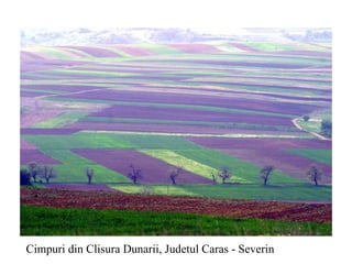 Cimpuri din Clisura Dunarii, Judetul Caras - Severin 