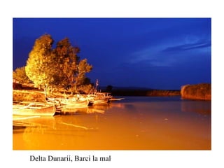 Delta Dunarii, Barci la mal 