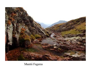 Muntii Fagaras 