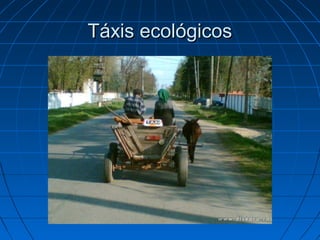 Táxis ecológicos

 