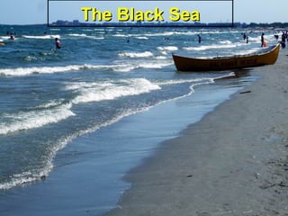 The Black SeaThe Black Sea
 