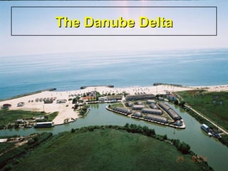 The Danube DeltaThe Danube Delta
 