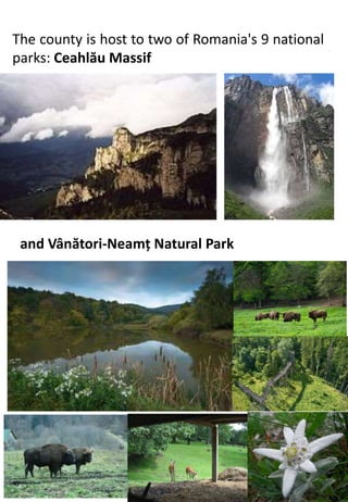The county is host to two of Romania's 9 national
parks: Ceahlău Massif
and Vânători-Neamț Natural Park
 