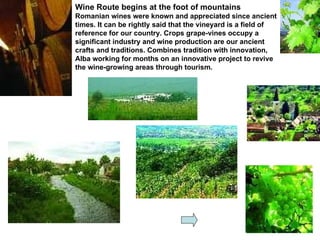 Wine Route begins at the foot of mountains Romanian wines were known and appreciated since ancient times. It can be rightly said that the vineyard is a field of reference for our country. Crops grape-vines occupy a significant industry and wine production are our ancient crafts and traditions. Combines tradition with innovation, Alba working for months on an innovative project to revive the wine-growing areas through tourism.   
