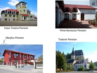 Casa Tariana Pension Perla Muresului Pension Marylou Pension Todoran Pension 
