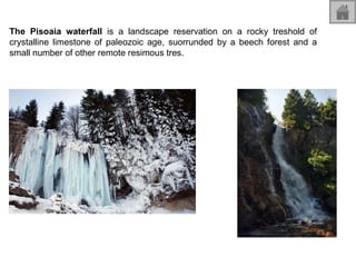 The Pisoaia waterfall  is a landscape reservation on a rocky treshold of crystalline limestone of paleozoic age, suorrunded by a beech forest and a small number of other remote resimous tres. 