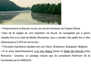 Històricament el Danubi va ser una de les fronteres de l'Imperi Romà
Des de fa segles és una important via fluvial, és navegable per a grans
vaixells fins a la ciutat de Brãila (Romania) i per a vaixells més petits fins a Ulm
(Alemanya) a 2.575 km de la mar.
Travessa importants capitals com ara Viena, Bratislava, Budapest i Belgrad.
A la seva desembocadura a la mar Negra forma el Delta del Danubi entre
Romania i Ucraïna, un paratge natural que és considerat Patrimoni de la
Humanitat per la UNESCO.
 
