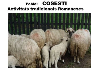 Poble: COSESTI
Activitats tradicionals Romaneses
 