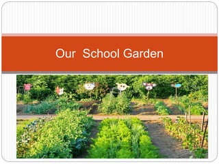 Our School Garden
 