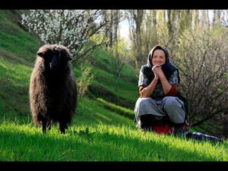 Romania   viata la tara (vb)