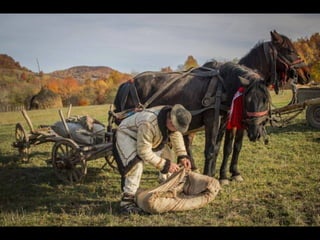 Romania   viata la tara (vb)