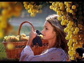 Romania   viata la tara (vb)