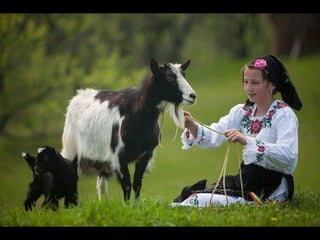 Romania   viata la tara (vb)