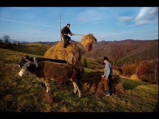 Romania   viata la tara (vb)