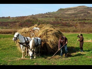 Romania   viata la tara (vb)