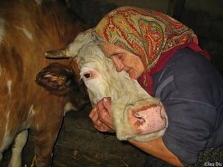 Romania   viata la tara (vb)