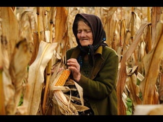 Romania   viata la tara (vb)