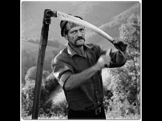 Romania   viata la tara (vb)