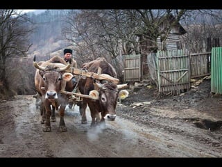 Romania   viata la tara (vb)