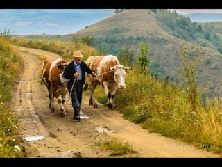 Romania   viata la tara (vb)