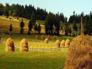 Romania   viata la tara (vb)