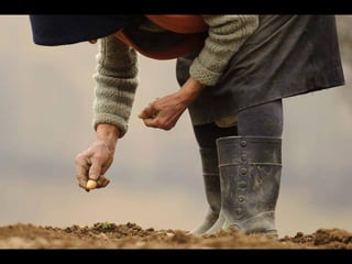 Romania   viata la tara (vb)