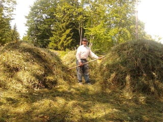 Romania   viata la tara (vb)