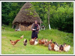 Romania   viata la tara (vb)