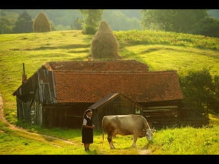 Romania   viata la tara (vb)