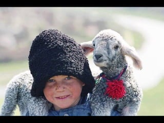 Romania   viata la tara (vb)