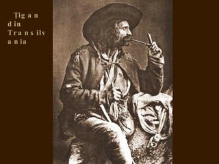 Ţig a n
d in
T r a n s ilv
a n ia
 