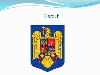 Escut
 