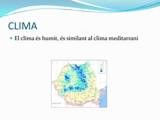 CLIMA
 El clima és humit, és similant al clima meditarrani
 