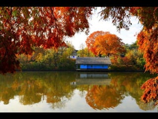 Romania, Autumn Splendor