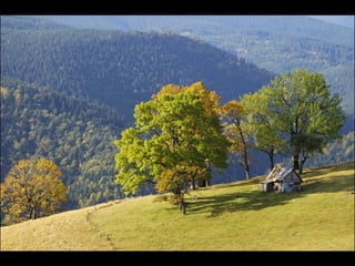 Romania, Autumn Splendor